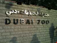 Dubai Zoo