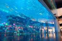 The Dubai Mall