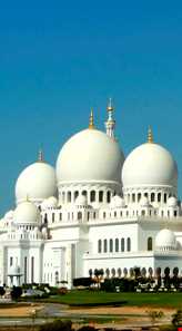 مسجد شیخ زاید