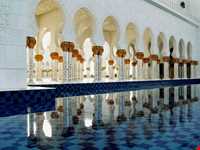 مسجد شیخ زاید