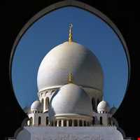 مسجد شیخ زاید