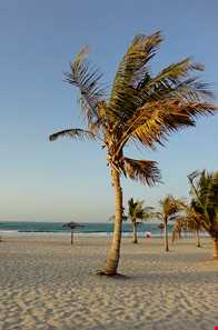 پارک ساحلی ممزر