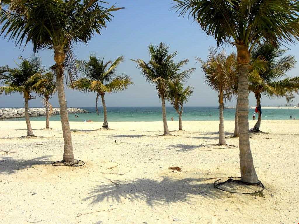 پارک ساحلی ممزر