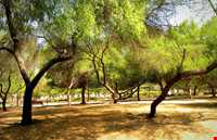 پارک ساحلی ممزر