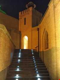 باغ‌موزه قصر