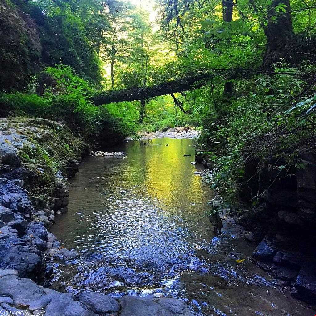 آبشار کوه سر