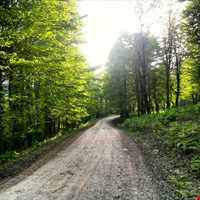 آبشار کوه سر