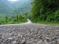 پارک جنگلی سفیدآب