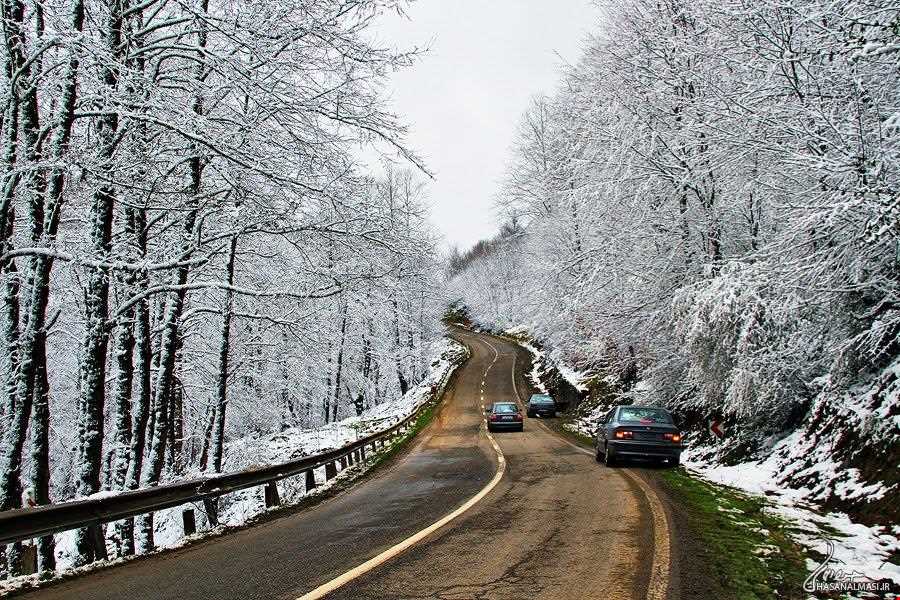 جنگل و جاده عباس‌آباد