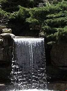 باغ گیاه شناسی ملی ایران