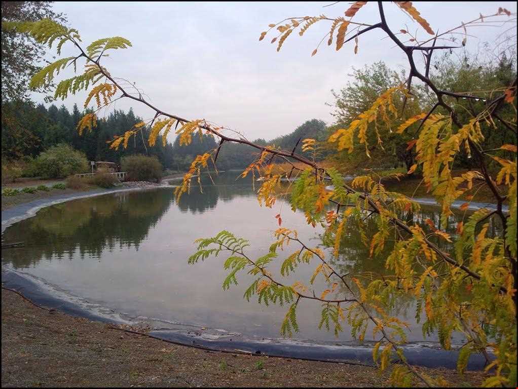 باغ گیاه شناسی ملی ایران