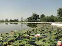 باغ گیاه شناسی ملی ایران