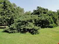 باغ گیاه شناسی ملی ایران