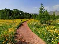 باغ گیاه شناسی ملی ایران