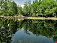 باغ گیاه شناسی ملی ایران