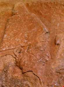 نقش‌برجسته گل گل ملکشاهی