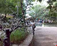 Baba Aman park