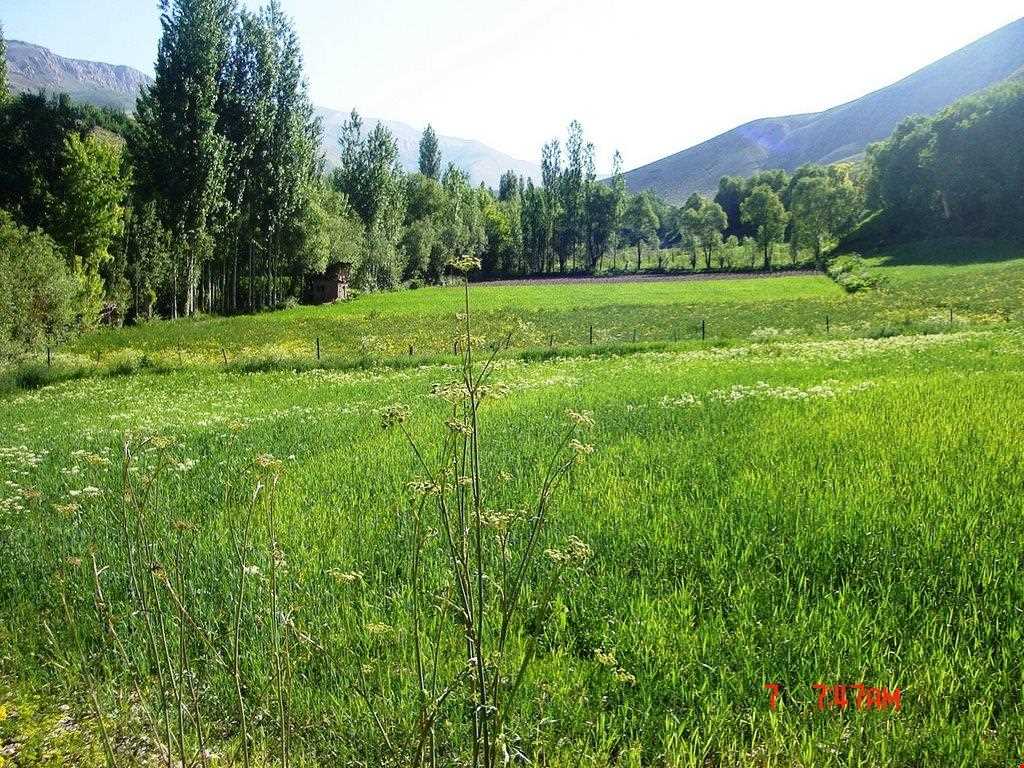 روستای لزور