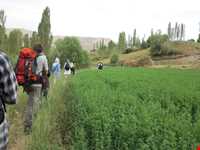 روستای لزور