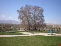 Besh Qardash Park