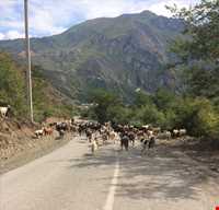 روستای خلیندره - خلین دره