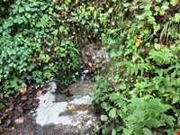 روستای خلیندره - خلین دره