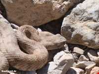 پارک ملی ساریگل