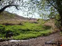 پارک ملی ساریگل