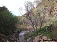 پارک ملی ساریگل