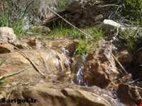 پارک ملی ساریگل