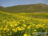 پارک ملی ساریگل