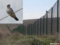 پارک ملی ساریگل