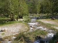 Ghorkhod Protected Area