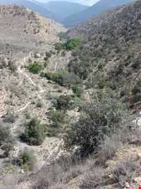 Ghorkhod Protected Area