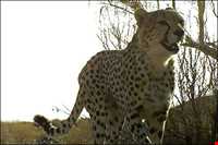 Ghorkhod Protected Area