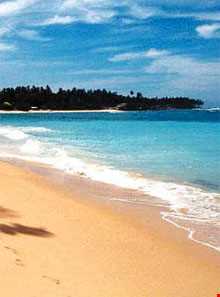 جزیره‌ی سینامون  (جزیره دارچین)