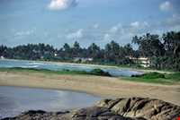 جزیره‌ی سینامون  (جزیره دارچین)