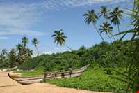 جزیره‌ی سینامون  (جزیره دارچین)