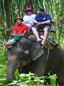 فیل سواری در پوکت