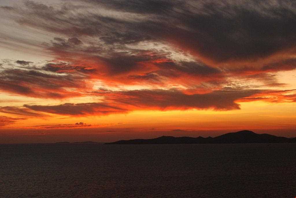 جزیره مرجانی