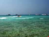 جزیره مرجانی