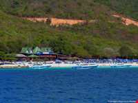 جزیره مرجانی