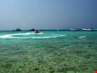 جزیره مرجانی