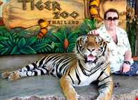 باغ وحش ببرها