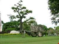 پارک سنگ‌های چند میلیون ساله