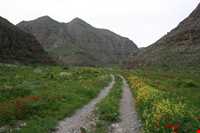 پارک ملی تندوره