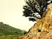 پارک ملی تندوره