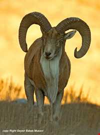 پارک ملی تندوره