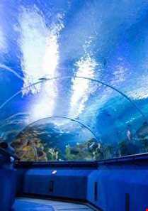 آکواریوم KLCC