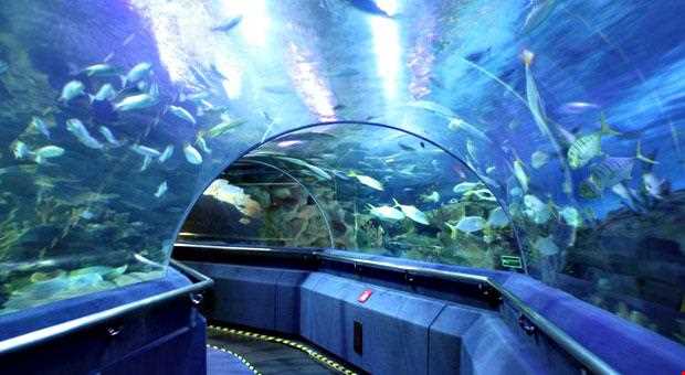 آکواریوم KLCC